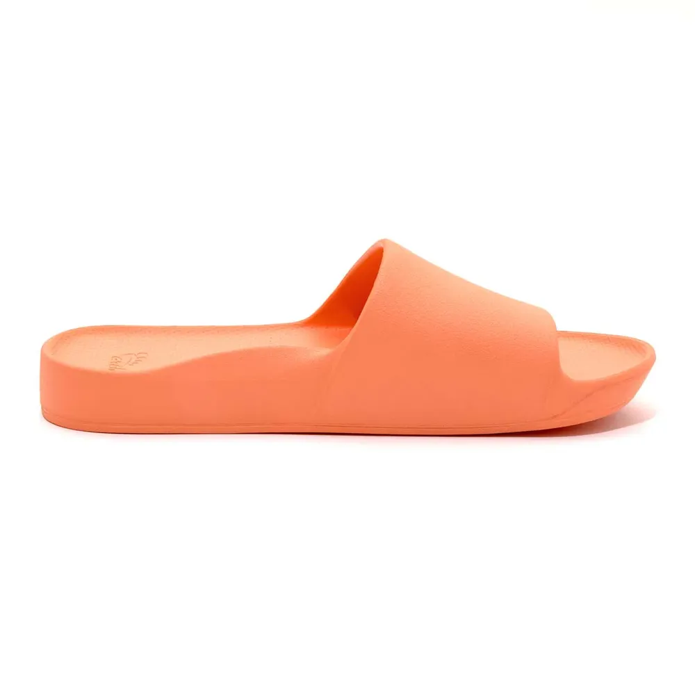 ARCHIES Arch Support Slides