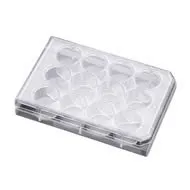 BD 351147 Falcon Clear Polystyrene 24 Well Plate with Low-Evaporation Lid, 3.5mL Volume, Flat Bottom Shape (Case of 50)