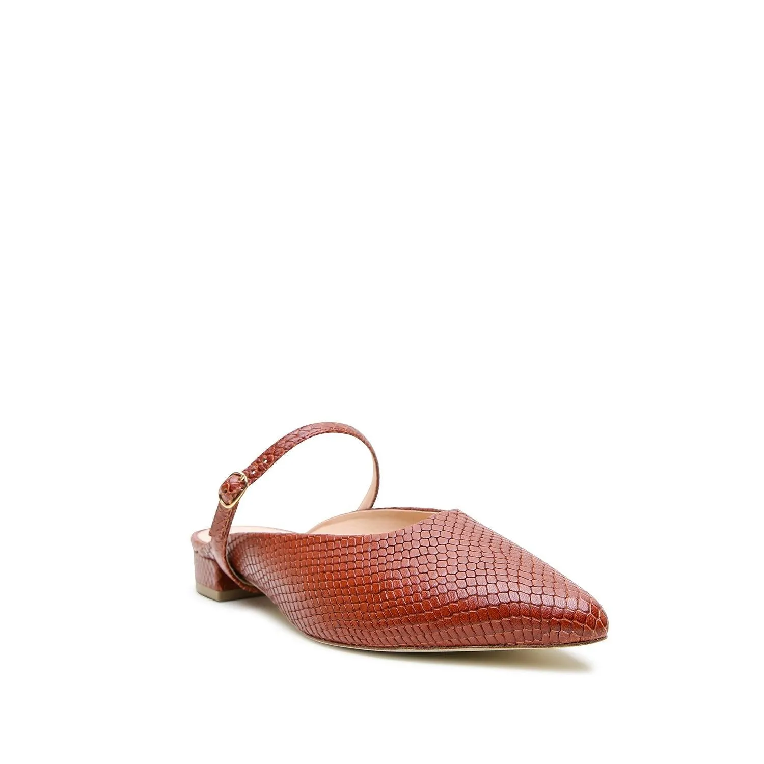 Brown Snake Point Slide   Twiggy Strap