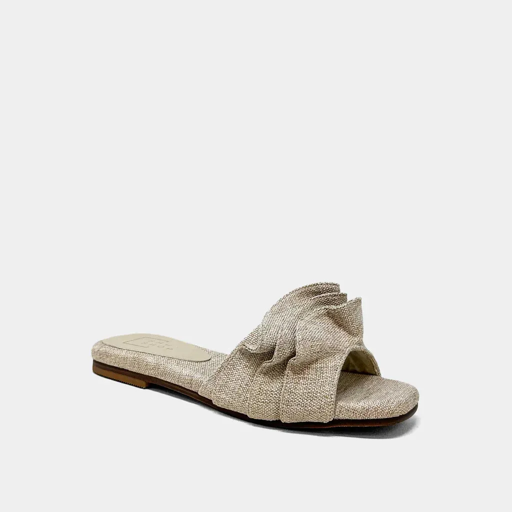 Daisy Slides