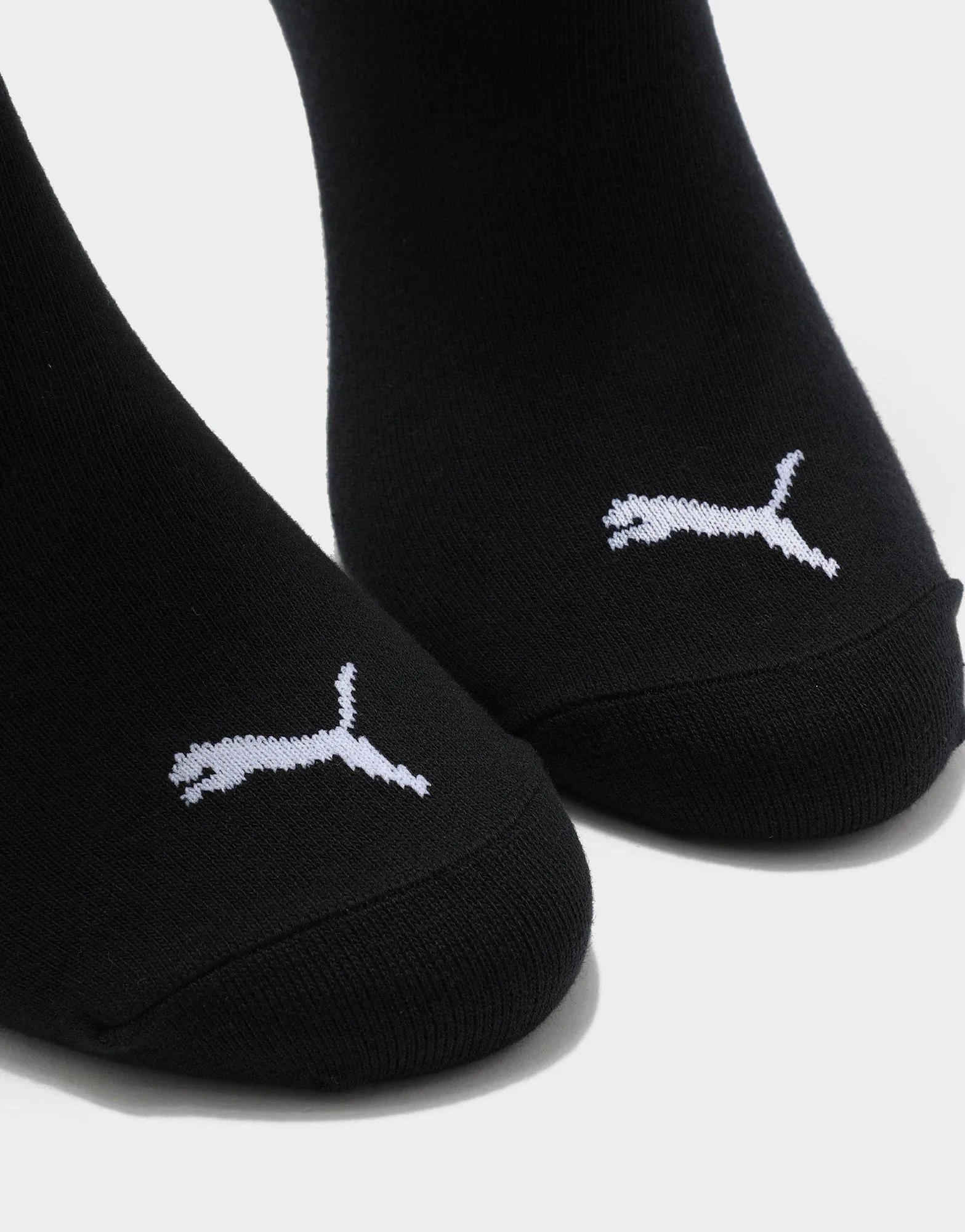 No Show Socks (3 Packs)