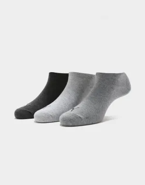 No Show Socks (3 Packs)
