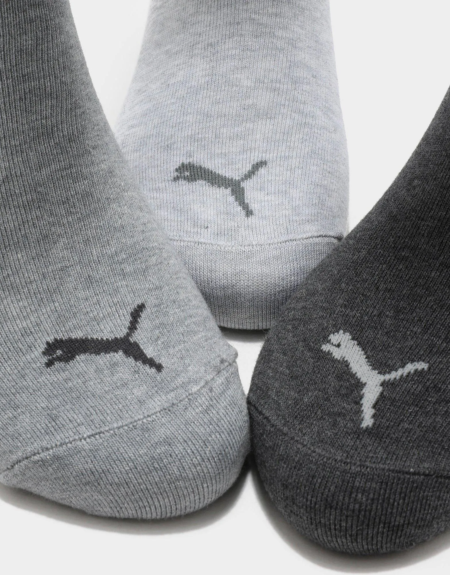 No Show Socks (3 Packs)